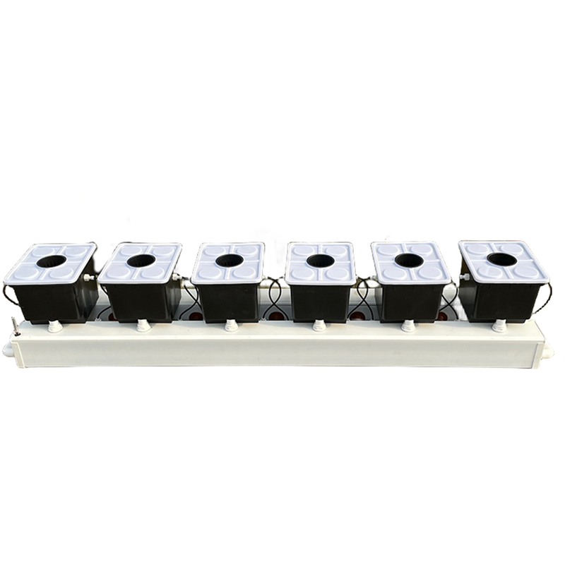 Holenderski system hydroponicz – Hydroponic Kit recenzja i cena