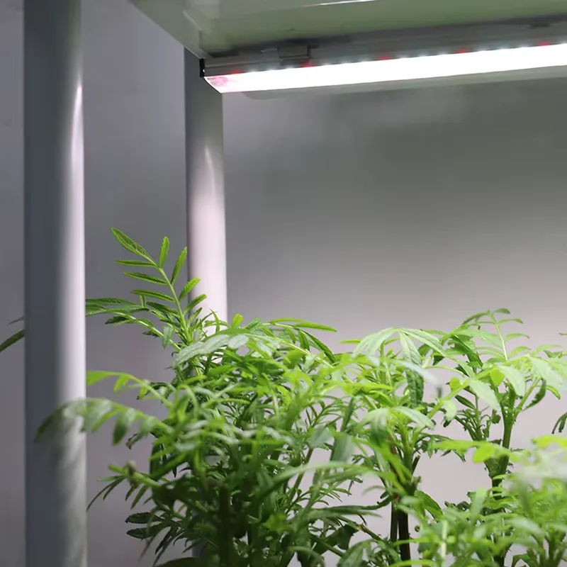 Przenośny, pionowy, 3-poziomow – Vertical Planter recenzja i cena