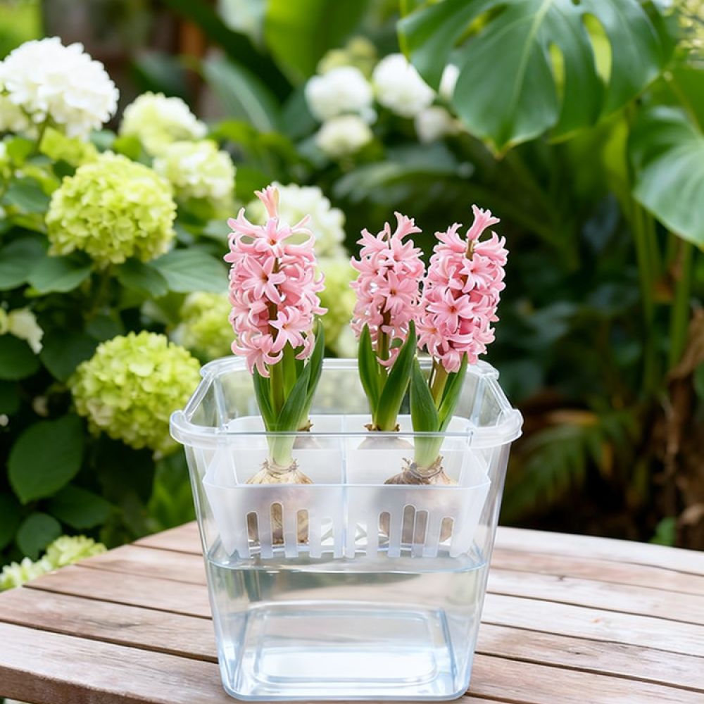 Wazon do uprawy tulipanów i li – Plant Pot recenzja i cena