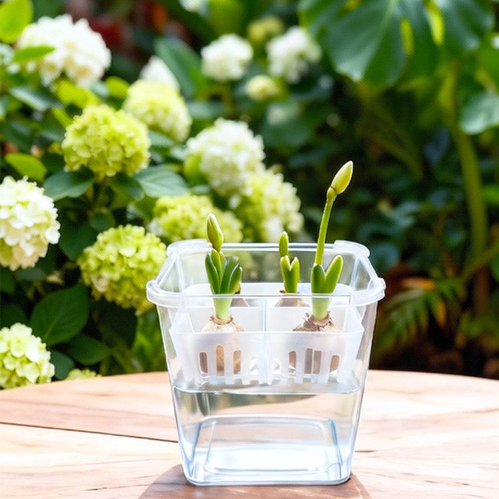 Wazon do uprawy tulipanów i li – Plant Pot recenzja i cena