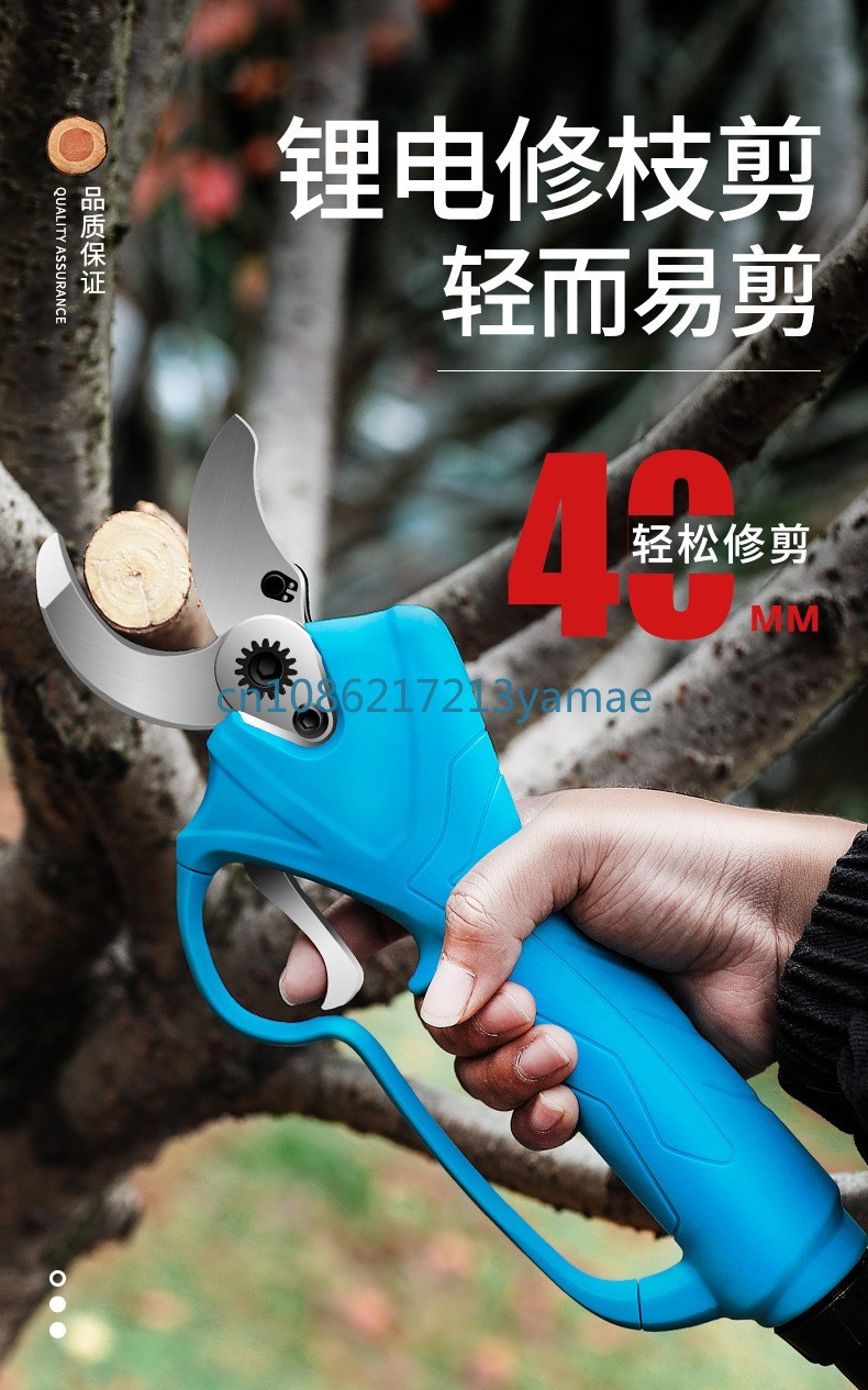 Plecak na baterie litowe Elekt – Pruning Shears recenzja i cena