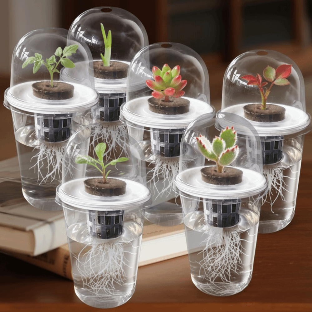 1-5 szt. Przezroczyste kubki d – Seed Starter Tray recenzja i cena